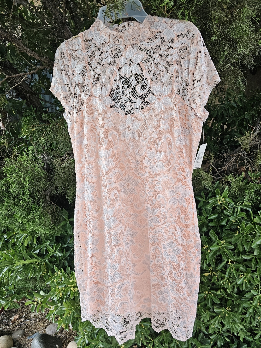 No Boundaries Dress With Tag Blush Pink Lace Open Back Xl